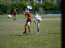 0DIA 1984 RAVA PUPS 1